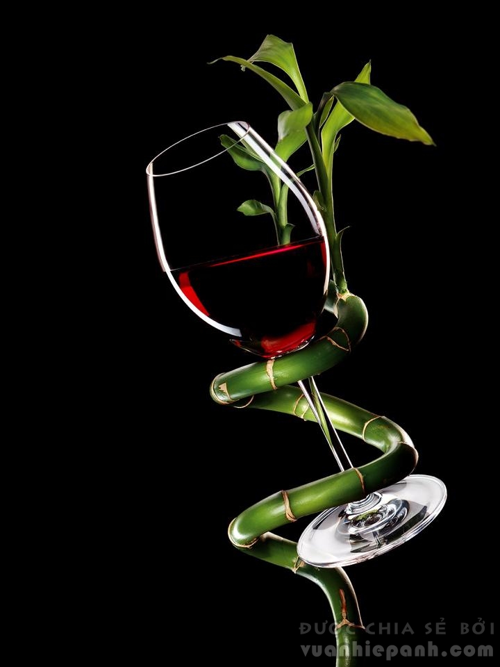 Wine-Glass-bamboo
