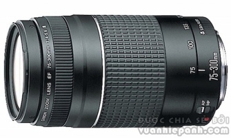 12 Ống kính thông dụng cho Canon DSLR
