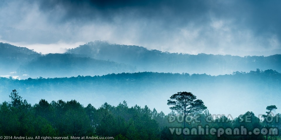 Fog Admidst Blue Mountains