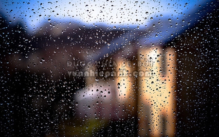 Rain photography - inLook.vn