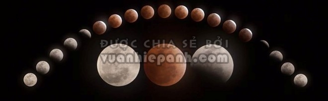 Những bức ảnh mặt trăng máu đẹp lạ lùng - Ảnh 5