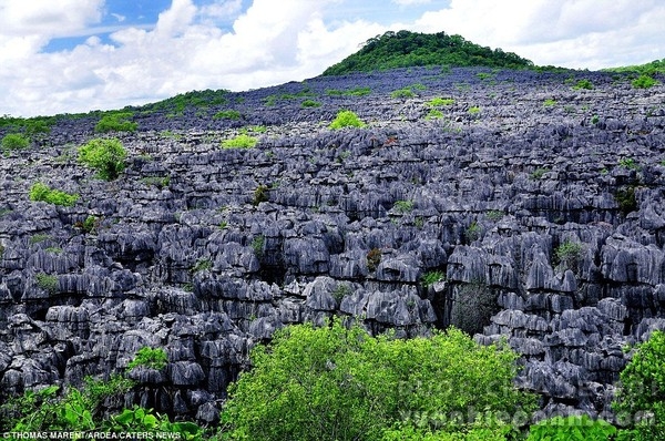 Rừng đá vôi Tsingy, Ankarana, phía Bắc Madagascar