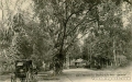 Vườn Bách thảo Sài Gòn