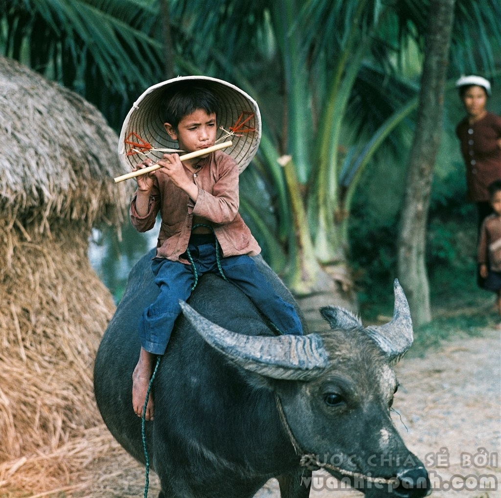Miền Bắc Việt Nam 1969.