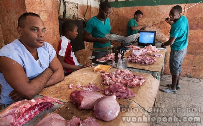 Thịt và các mặt hàng nông sản được bán theo giá do nhà nước quy định. Sản phẩm thịt của Cuba chủ yếu là thịt lợn và có giá khá đắt đỏ đối với hầu hết người dân.