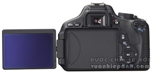 Canon EOS 1D ra mắt năm 2001. Ảnh: