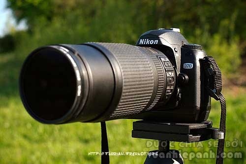 Nikon AF-S 70-300 F4.5-5.6 VR là ống tele đa dụng với mức giá vừa phải. Ảnh: Letsgodigital.