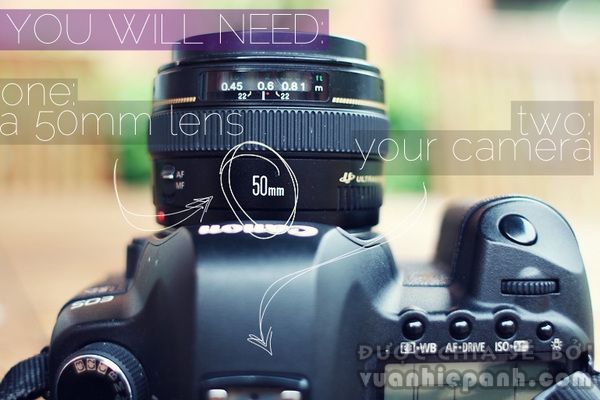 Tại sao lens 50mm lại là: 