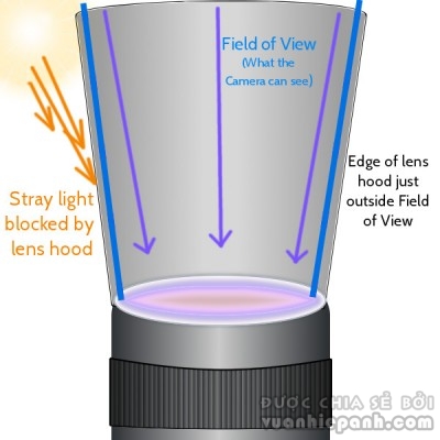 Mục đích của một Lens Hood trên một ống kính tele