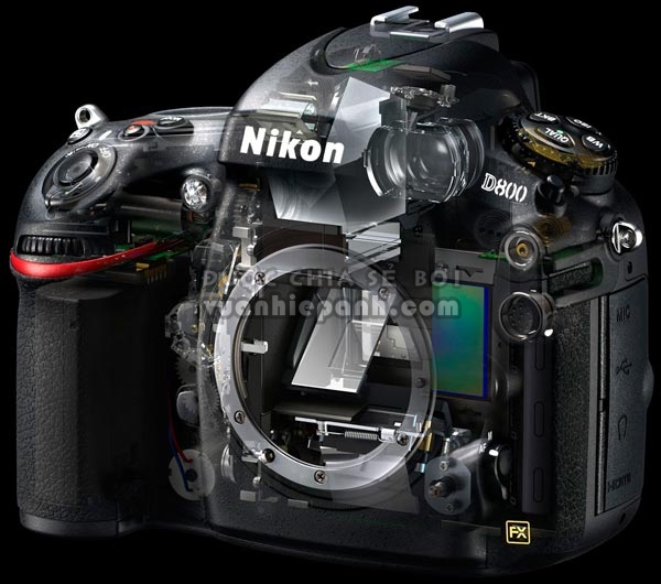 đánh giá Nikon D800