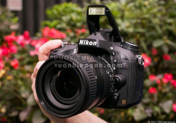 đánh giá máy ảnh d610 nikon d600