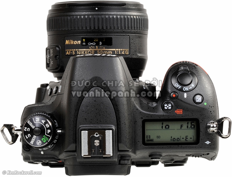 Nikon D750 - Đứa 'con lai' của D610 và D810