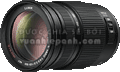 Panasonic Lumix G Vario 100-300mm F4-5.6 OIS