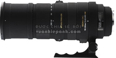 Sigma 150-500mm F5-6.3 DG OS HSM