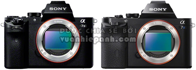 Sony-Alpha-7-II-vs.-Canon-EOS-7D-Mark-II-11
