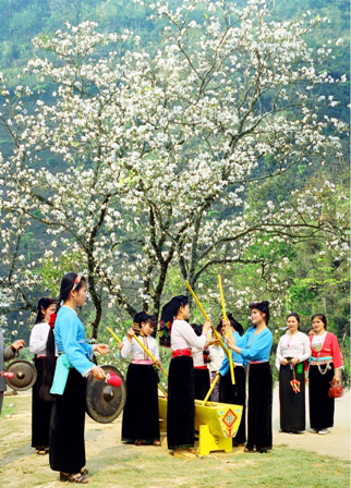 Lễ hội hoa ban ở Lai Châu